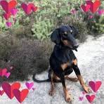 Barbara De Zeeuw - Facebook