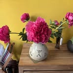 Barbara de Zeeuw - Facebook