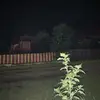 n - @zeebarbara - TikTok