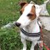 Barbara Zeffiretti - Facebook