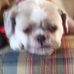 Barbara Zehner - Facebook