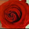 Barbara Zeisler - @barbarazeisler - TikTok