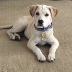 Barbara Fox Zelinsky - @vazandbjz - Instagram
