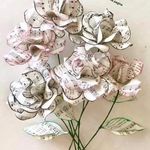 Barbara Zeni - @barbarazeni.68 - Instagram