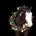 Barb Zenner - Facebook