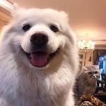 barbara__zhang - @barbara__zhang1961 - Instagram