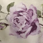 Barbara Zickefoose - @barbara.zickefoose - Instagram