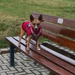 Barbara Zimmer - @die_futtermutter - Instagram