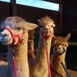 Barbara Zimmermann - @barbara.zimmermann.921 - Instagram