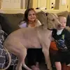 Barbara Ziolkowski - @barbara.ziolkowsk6 - TikTok