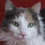 Barbi Brown - @3catzzgal - Instagram