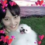 寵物心靈溝通術 - @barbie_wu.2 - Instagram