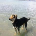 Barbara Abbott Perry - @abbottperry - Instagram