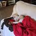 Barbra Allen - Facebook