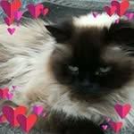 Barbara Albert - @bamaja3110 - Instagram