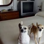 Barbara Albert Rico - @barbaraalbertrico - Instagram