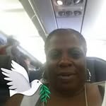 Barbara Arnold - @barbaraarnold789 - Instagram