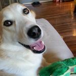 Barbra Baker - @barbrabaker66 - Instagram