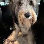 Barbara Barlow - @barbara.barlow.holt - Instagram