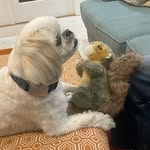 Barbara Barrett - @barbara.barrett.7737 - Instagram