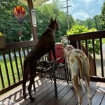 Barbara Barrett - @barbarabarrett6963 - Instagram