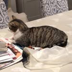 Barbara Bartlett - @barbara.bartlett.50 - Instagram