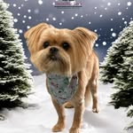 Barbara Bartlett Sost - @babs2428 - Instagram