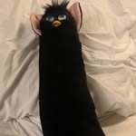 @_barbrabell - Instagram