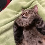 Barbara Berger - @barbaraberger770 - Instagram