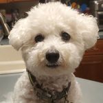 Barbara Booth Proseus - @barbp618 - Instagram