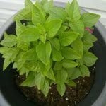 Barbara Burch - @barbara.burch.56863 - Instagram