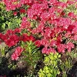 Barbara Burton - @barbara.burton.73157 - Instagram