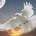 Barbara Carter - Facebook
