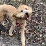 Barbara Conley - @barbara.conley.984349 - Instagram