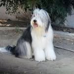 Barbara Conley - @davidconle - Instagram