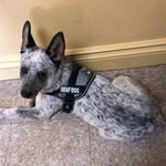 Barbra Conner - @samijoadventures - Instagram