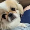 Barb Dalton - @barb.dalton - TikTok