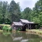 Barbara Dalton - @barbara.dalton.31 - Instagram