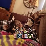 Barbara Dalton - Facebook