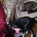 Barbara Ann Dyer - Facebook