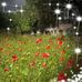 Barbara Dyer - Facebook