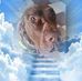 Barbara Edwards - Facebook