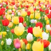 Barbara Edwards ❤️🌷 - @barbaraedwards56_ - TikTok