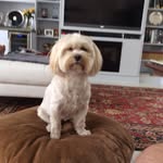 Barbara Egan - @barbaraegan9653 - Instagram