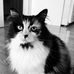 Barbara Emerson - Facebook