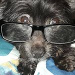 Barbara Farrell Burton - @trollgirl216 - Instagram