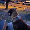 Barbra Fields - @barbra.fields - TikTok