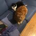 Barbara Fleming Wadge - Facebook
