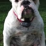 Barbara Foley Porpora - @porporab - Instagram