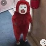 Barbra Foley owns this account - @juniorcert2k21 - Instagram